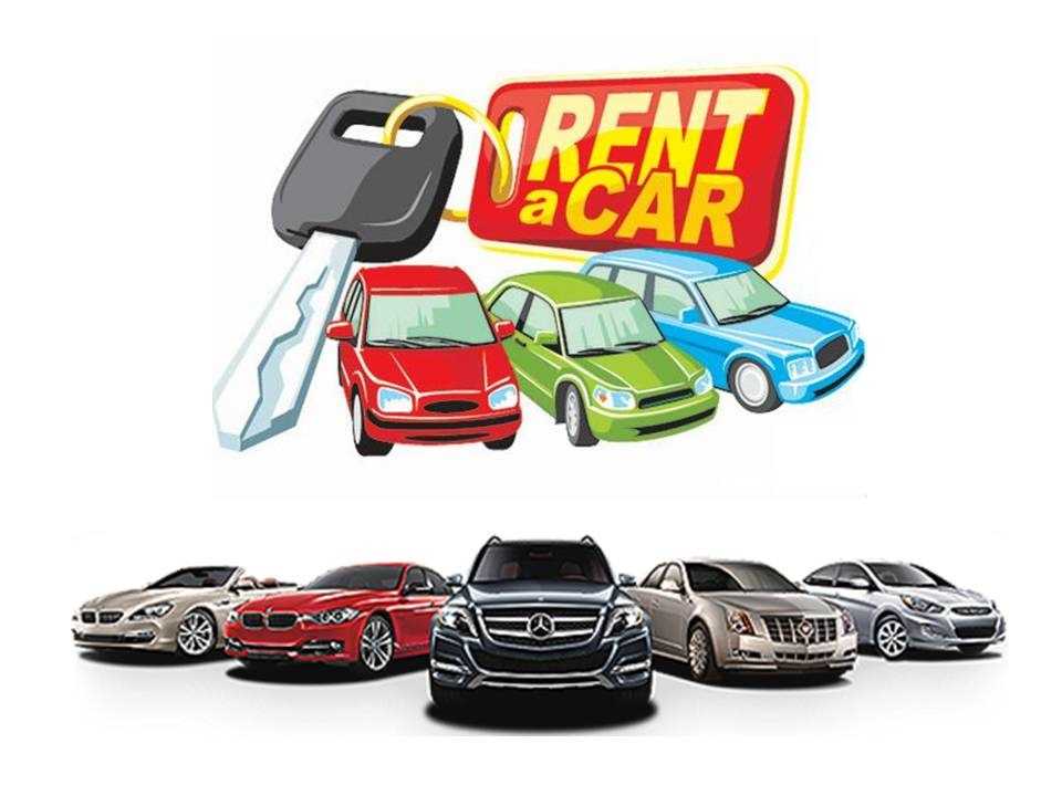 Borçka Rent A Car
